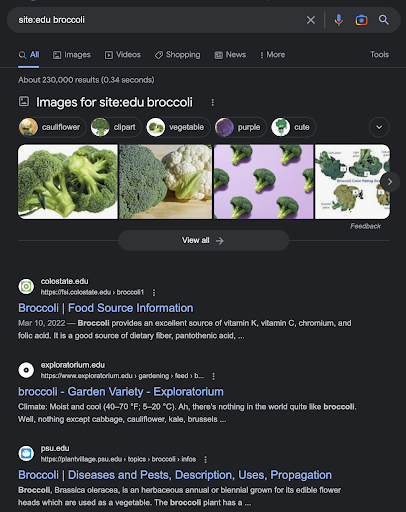 Screenshot of search result for “site:edu broccoli” with images of broccoli and several search results from educational institutions.
