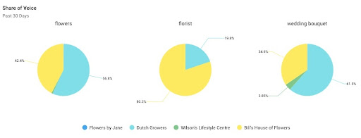 Screenshot of share of voice pie chart for three terms related to florists.