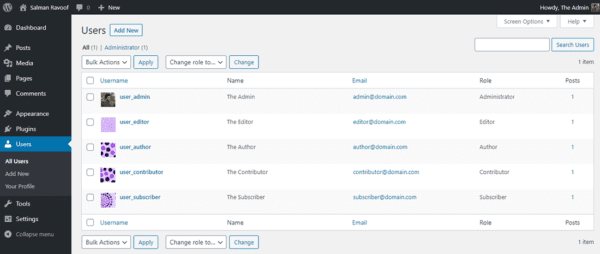 Mock WordPress dashboard displaying User Settings