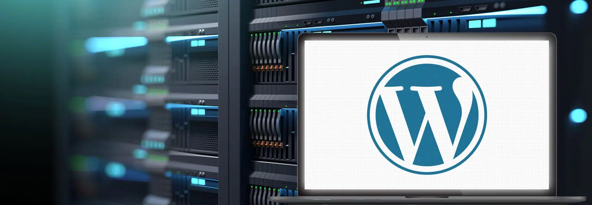 The Ultimate Guide to Becoming a Successful Reseller for WordPress Hosting