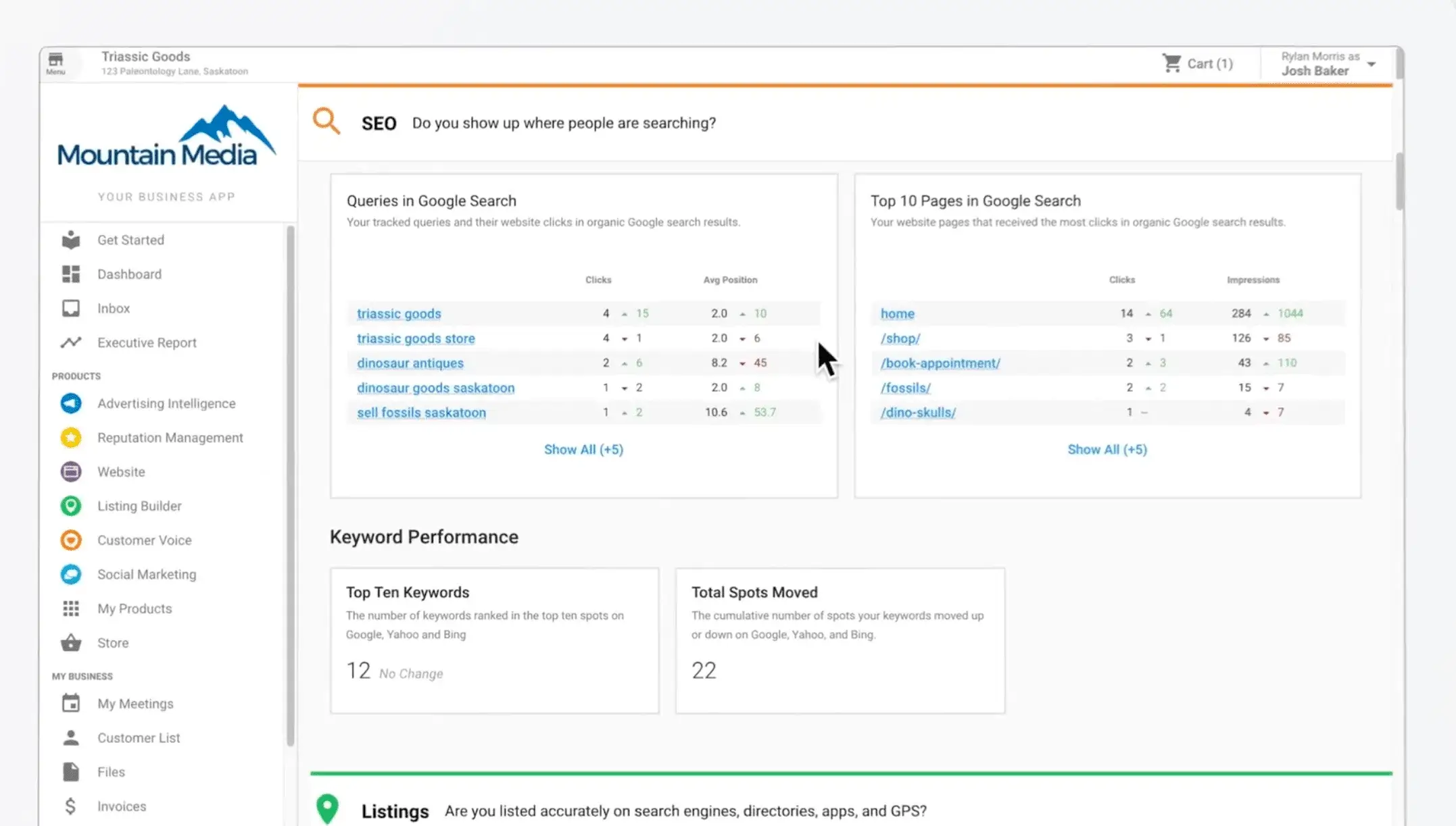 white label reporting: Executive report