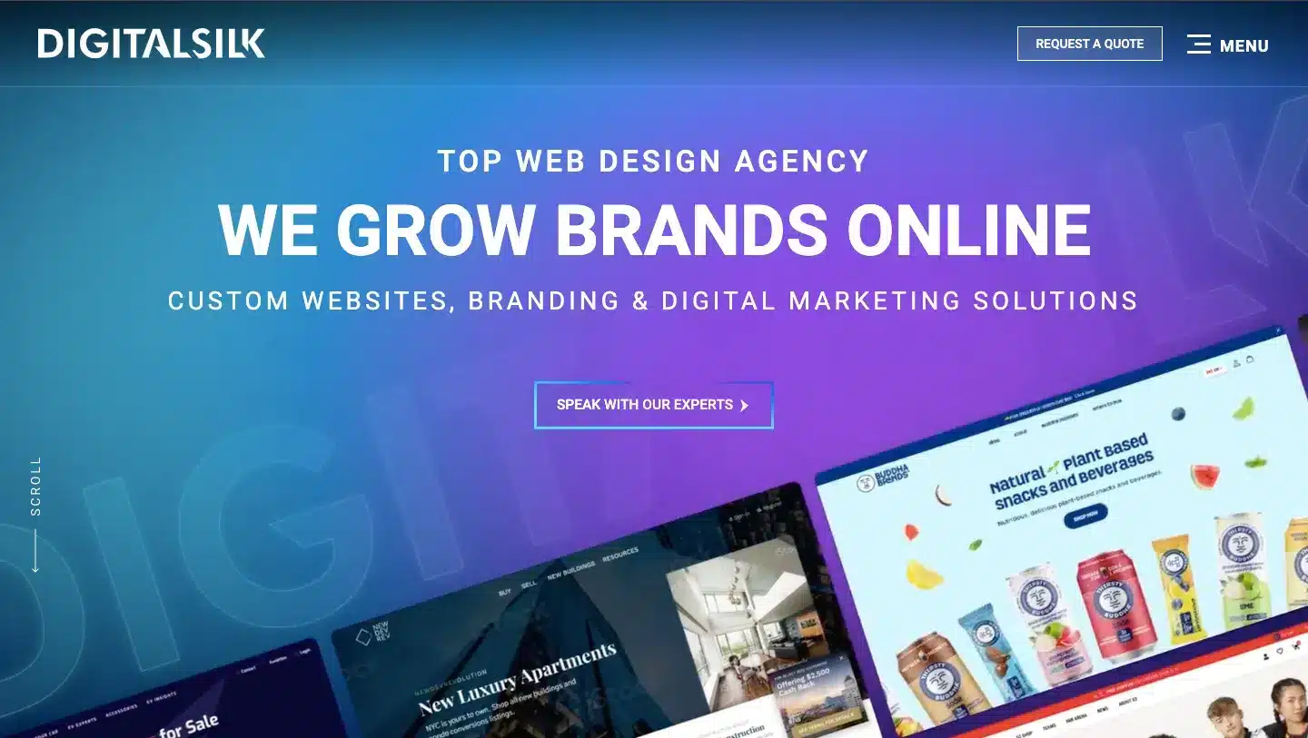 agency-website-Digital-silk