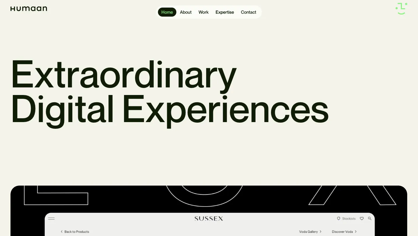 agency-website-Humaan