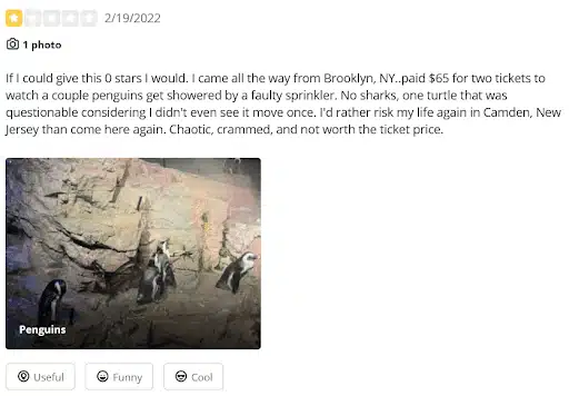 hilarious-yelp-reviews-4