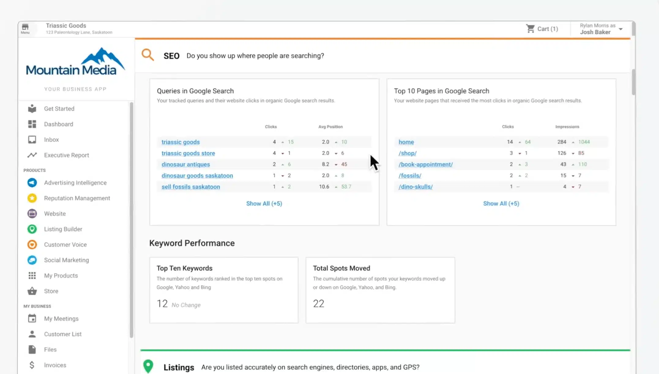 seo-automation-with-ai-executive-report-3-vendasta