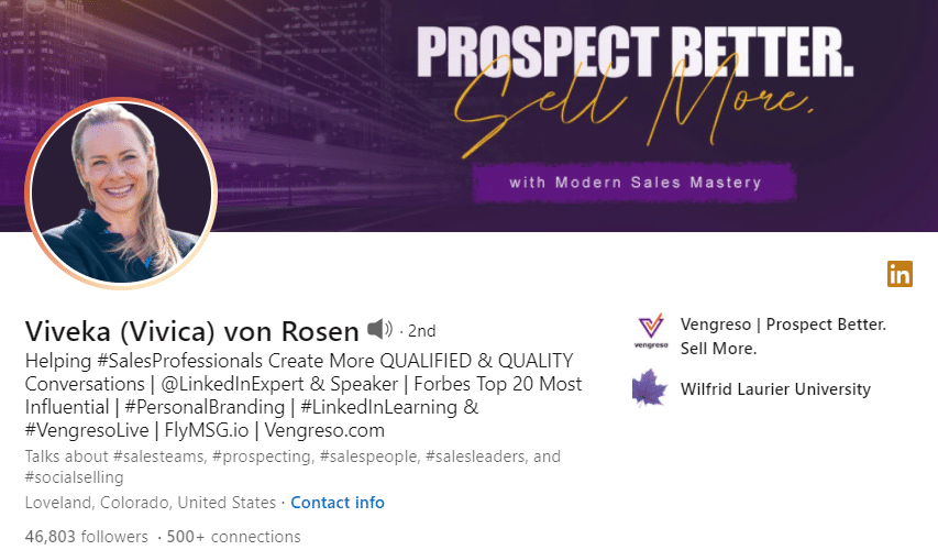 LinkedIn profile of Viveka von Rosen. Provides an example of a buyer-centric profile that focuses on the value she can bring clients through helping sales professionals create more qualified and quality conversations.