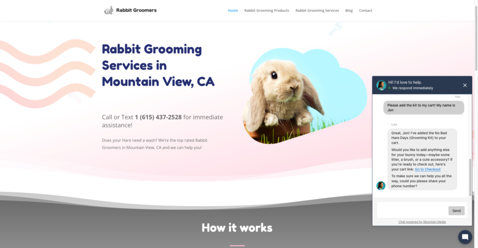 shopify AI connector