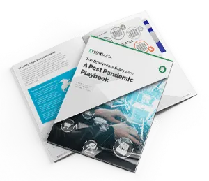 Ecommerce-Ecosystem_Post-Pandemi