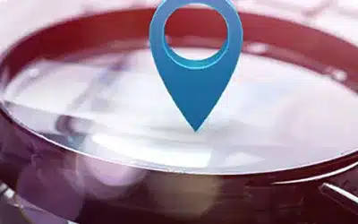 How to Conquer Local Search Engine Optimization (SEO): The Comprehensive Guide