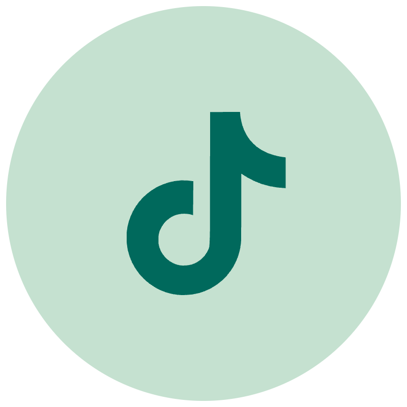 tiktok best practices icon