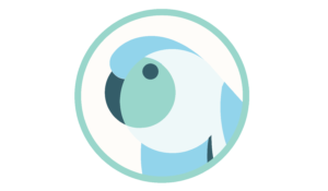 Parakeeto Logo-Square-dark-transparent