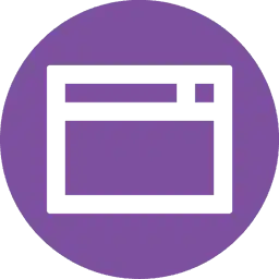 Website pro icon