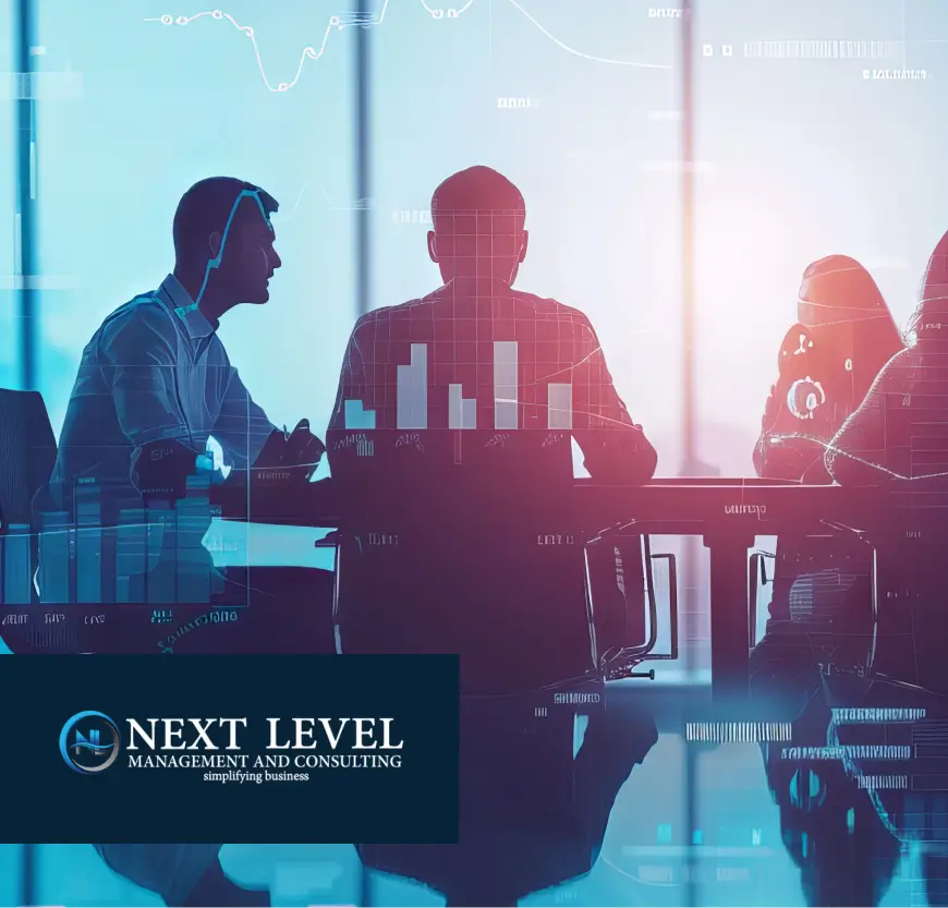 Next Level Management and Consulting, Vendasta agency case study