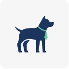 dog icon