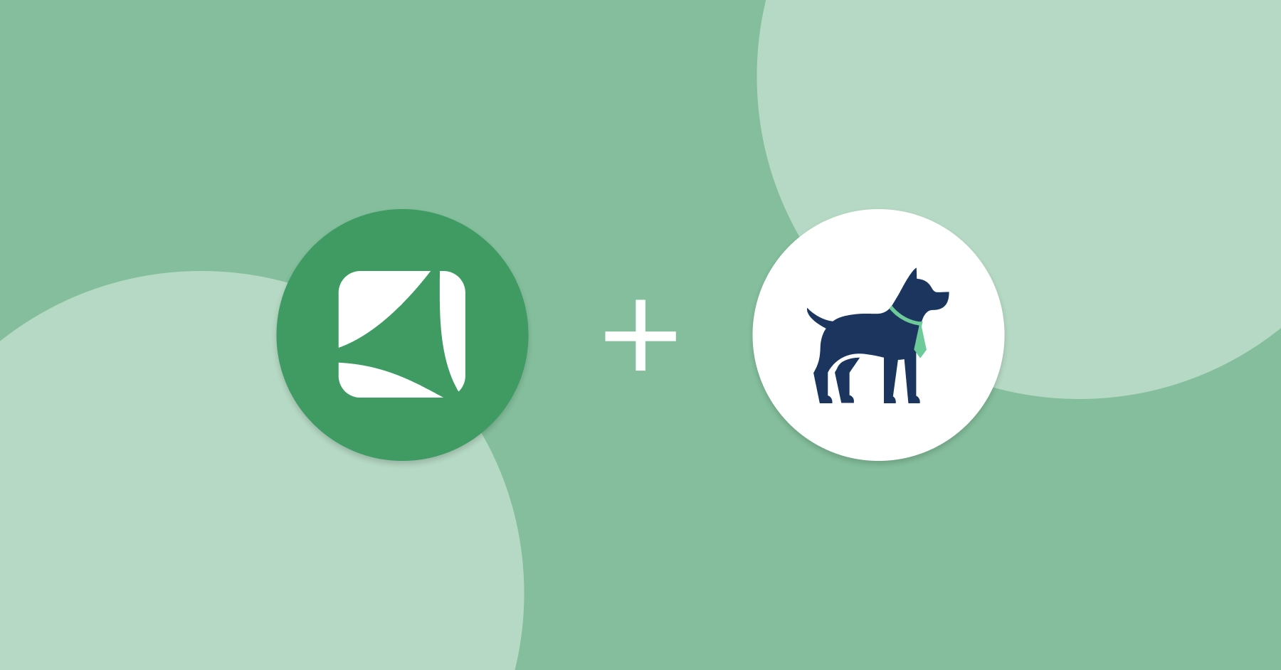 Pet Exec integration img PetExec