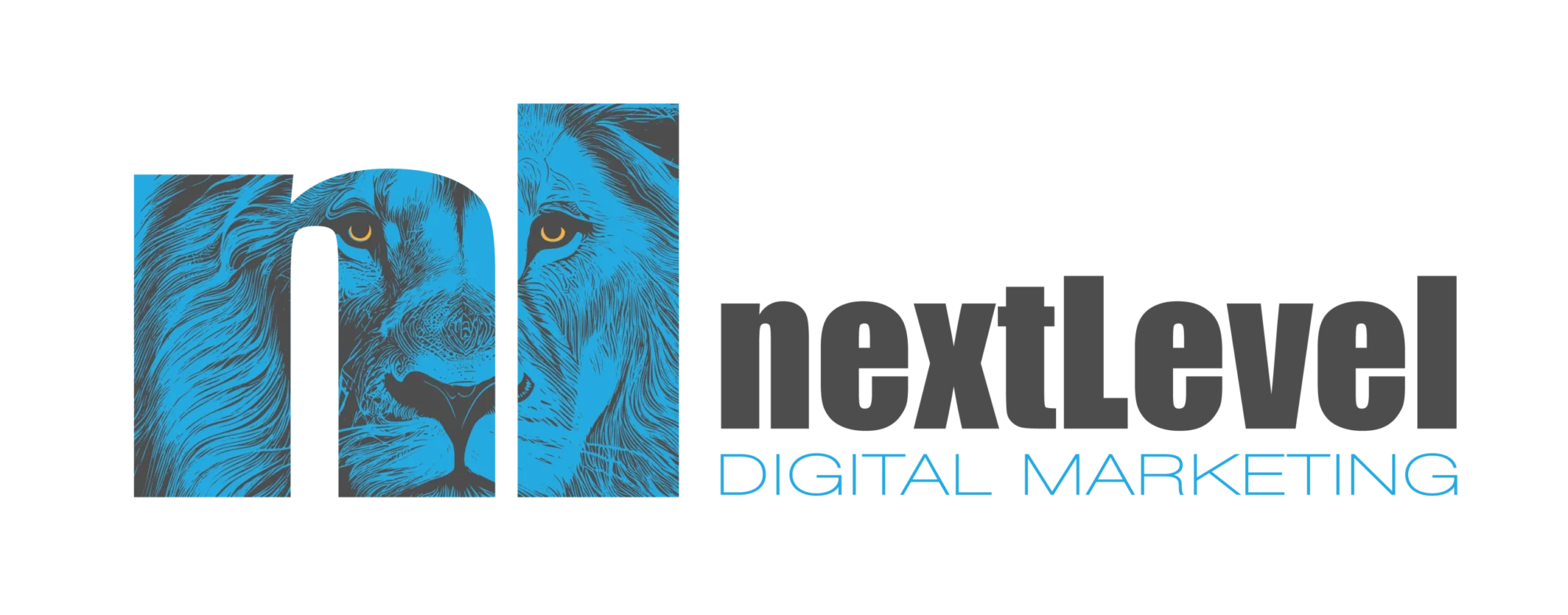 nextlevel digital marketing