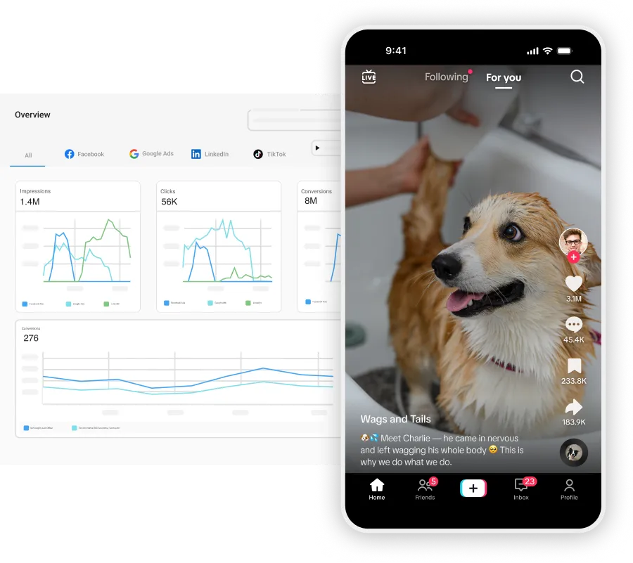 MatchCraft TikTok reporting on ad performance