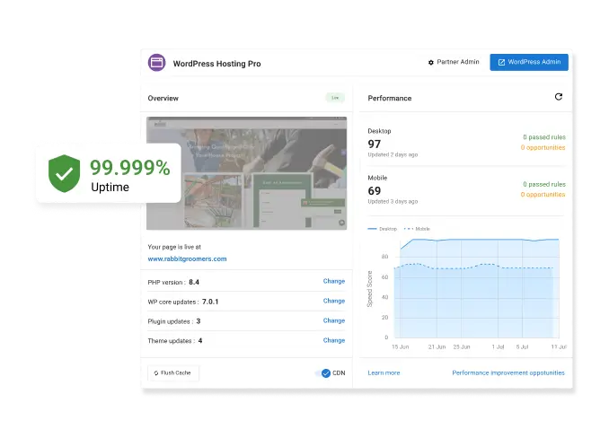 wordpress hosting pro dashboard - 99.999% uptime graphic