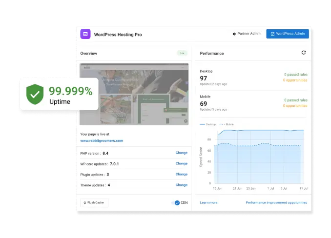 wordpress hosting pro dashboard - 99.999% uptime graphic