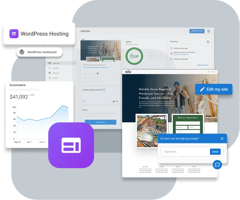 wordpress hosting dashboard example with performance scores