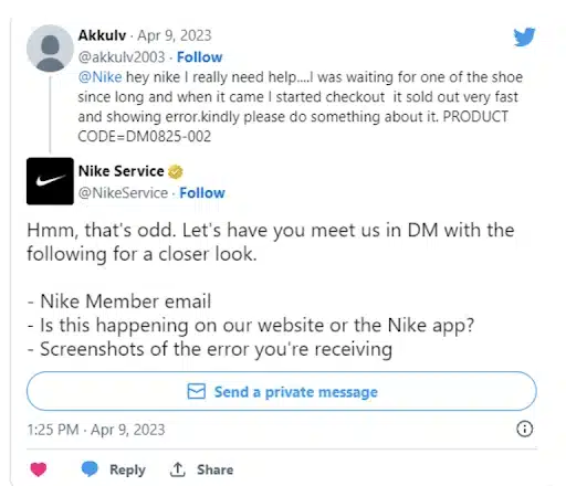 digital marketing strategy example: Nike Service
