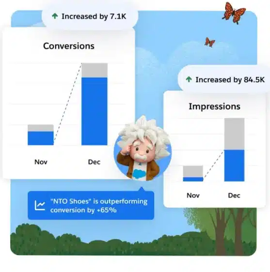 Bar charts showing increased conversions and impressions for NTO Shoes.