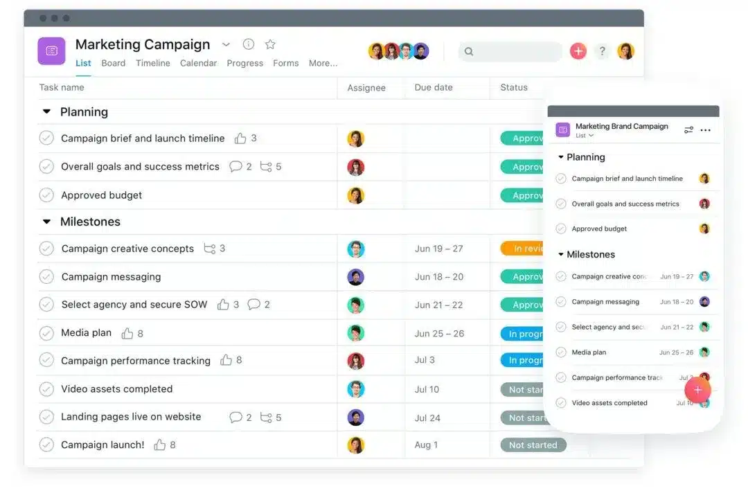client-management-software: asana, vendasta
